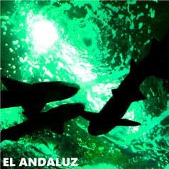 Picture of the album El Andaluz (2015)